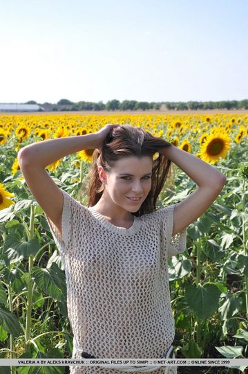 Нагое туловище симпатичной девочки-подростка Valeria A выглядит невероятно на подсолнечном поле